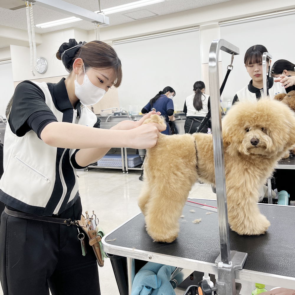 ２年生のカット中と仕上がり写真♪
